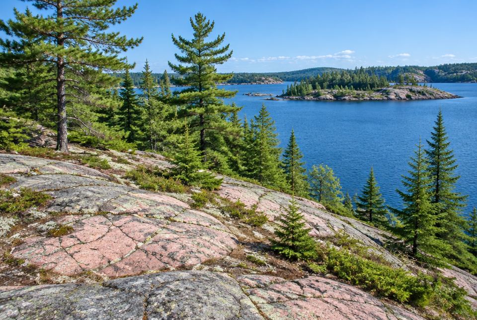 Pink granite rock with small pine trees on a hill above a blue lake with rocky islands.