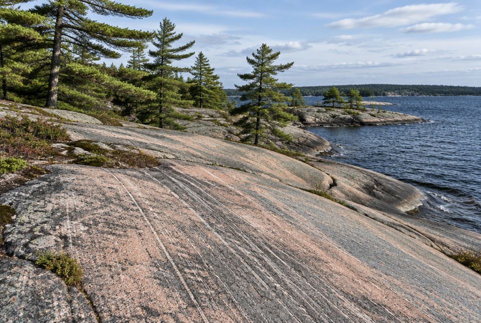 Smooth pink and grey granite with long parallel scratches slopes down to a lake, with pine trees on the rocks.