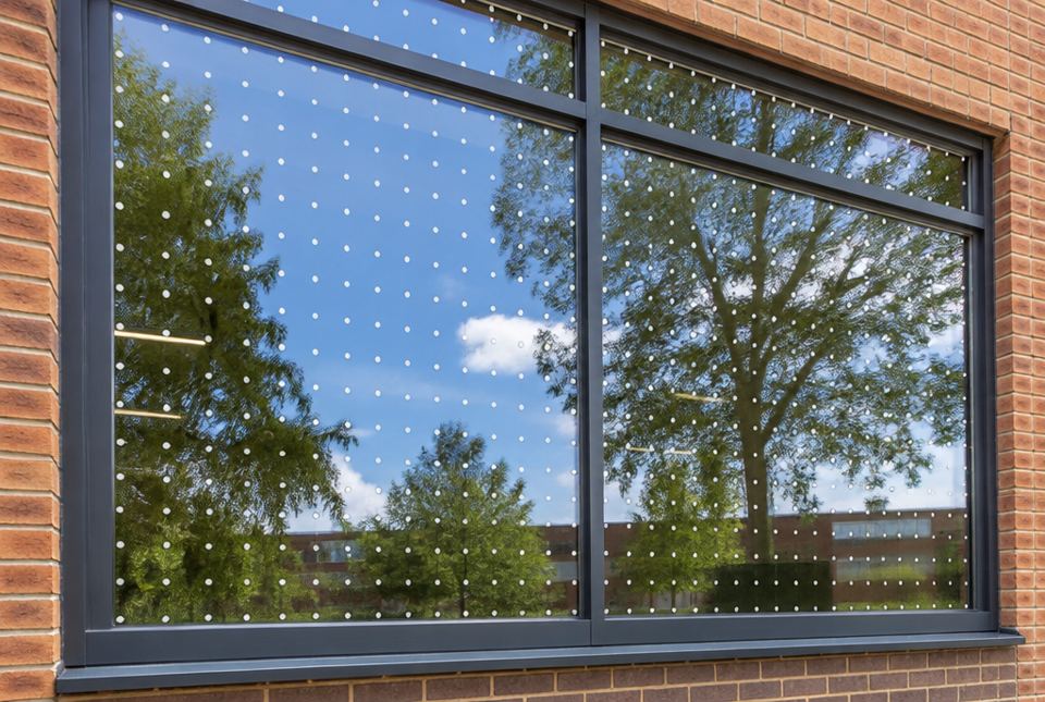 A large window with a grid of small white dots on the glass, reflecting trees and sky.